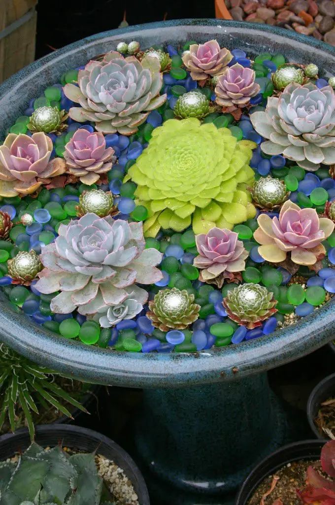 Así se diseña un jardín de cactus, un plus en tu decoración exterior - Foto  1