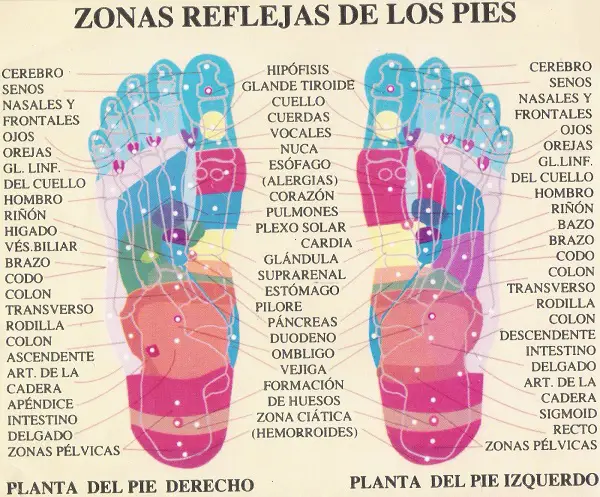 mapa reflexología almohadillas para pies