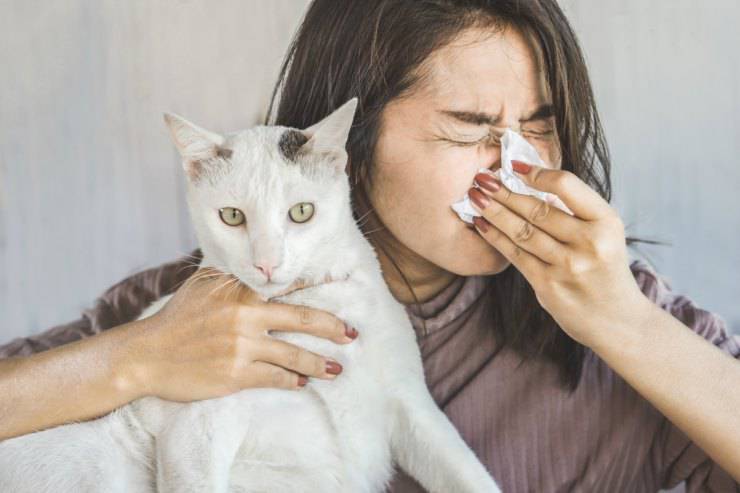 mujer mostrando alergia a los gatos