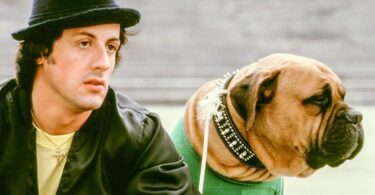 Stallone junto a su perro